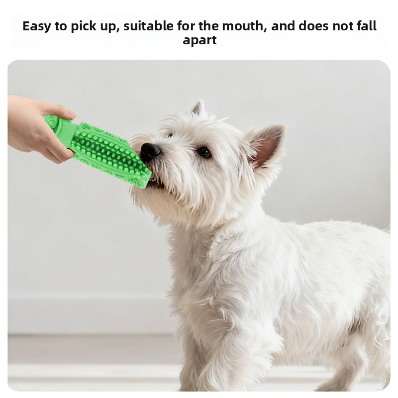 Teeth Cleaning Dog Chew Bone - Köpek Diş Temizleme Çiğneme Oyuncağı Vakumlu
