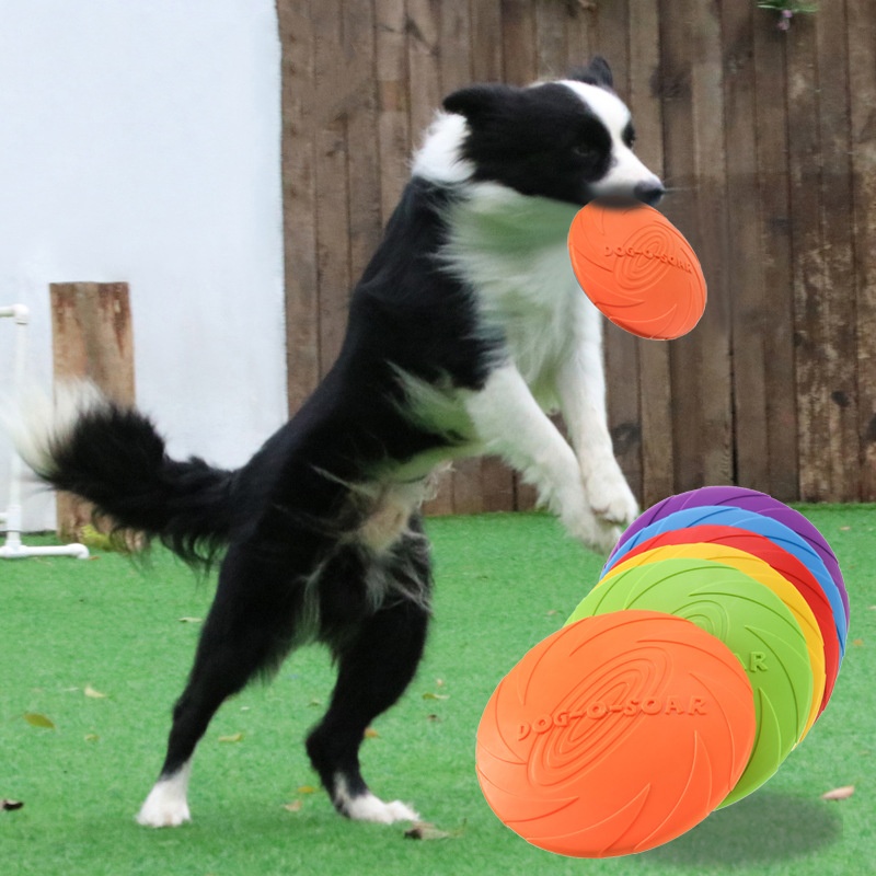 Indestructible Dog Chew Toy - Köpekler ve Kediler için İnteraktif Silikon