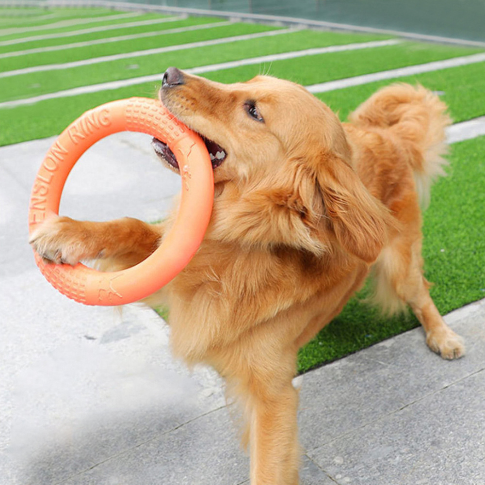 1 adet turuncu köpek oyuncakla - Indestructible Dog Chew Toy incelemesi ve fiyatı