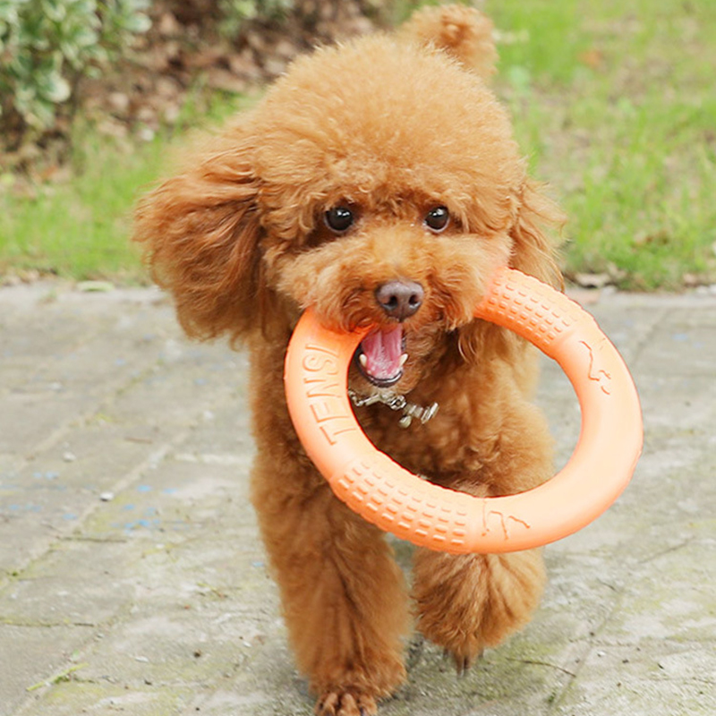 1 adet turuncu köpek oyuncakla - Indestructible Dog Chew Toy incelemesi ve fiyatı