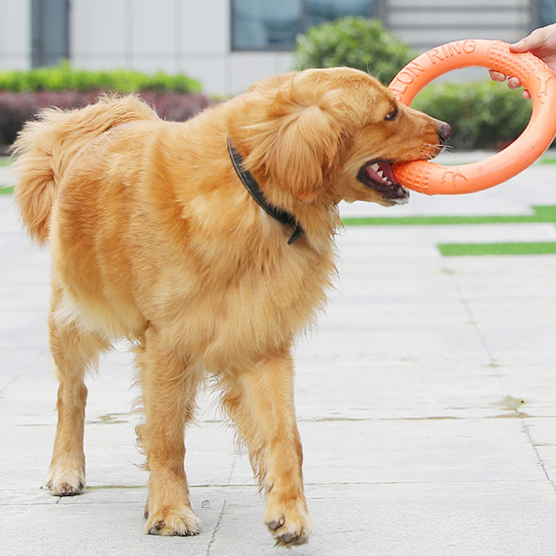 1 adet turuncu köpek oyuncakla - Indestructible Dog Chew Toy incelemesi ve fiyatı