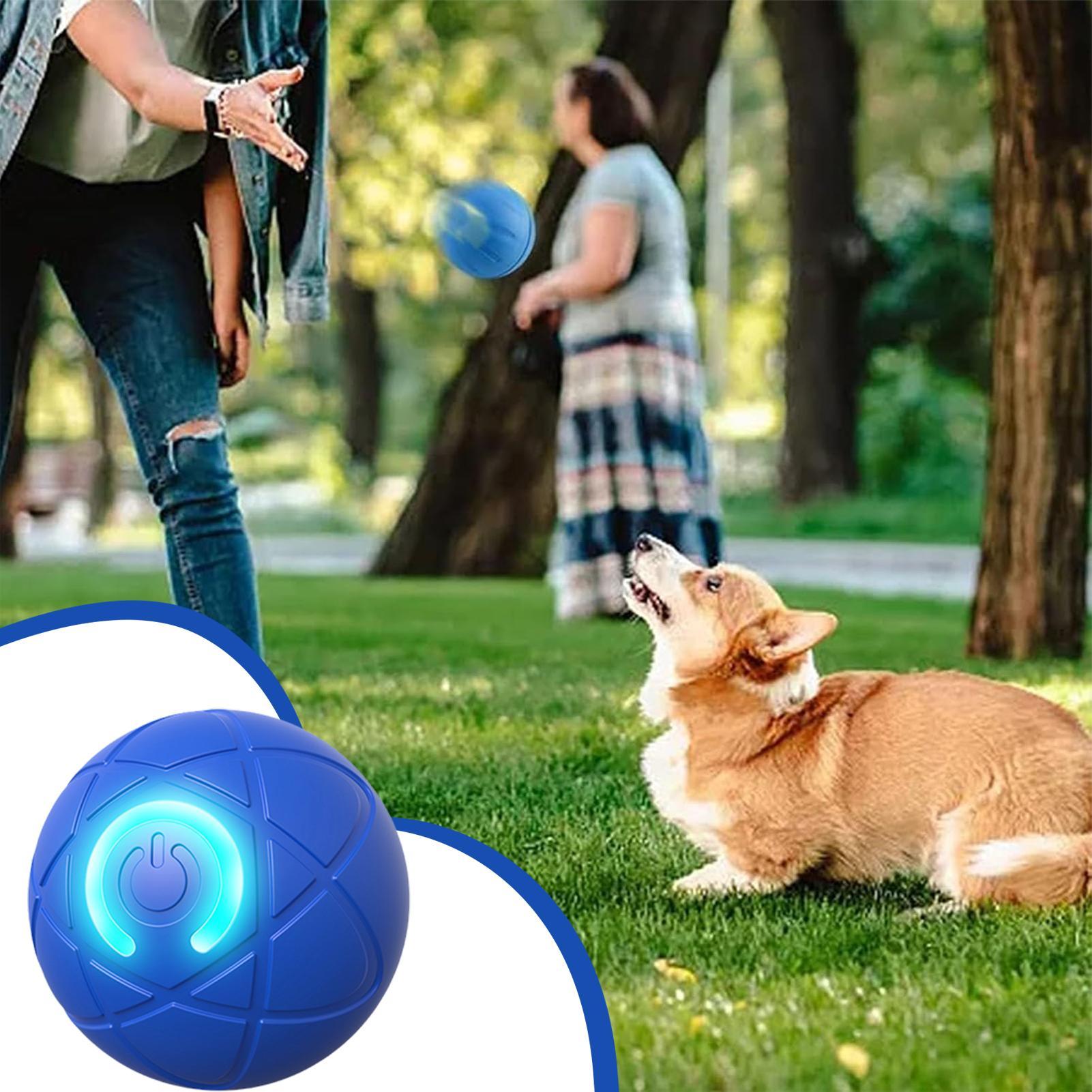 Agresif Çiğneyiciler İçin Akıl - Automatic Moving Dog Ball incelemesi ve fiyatı