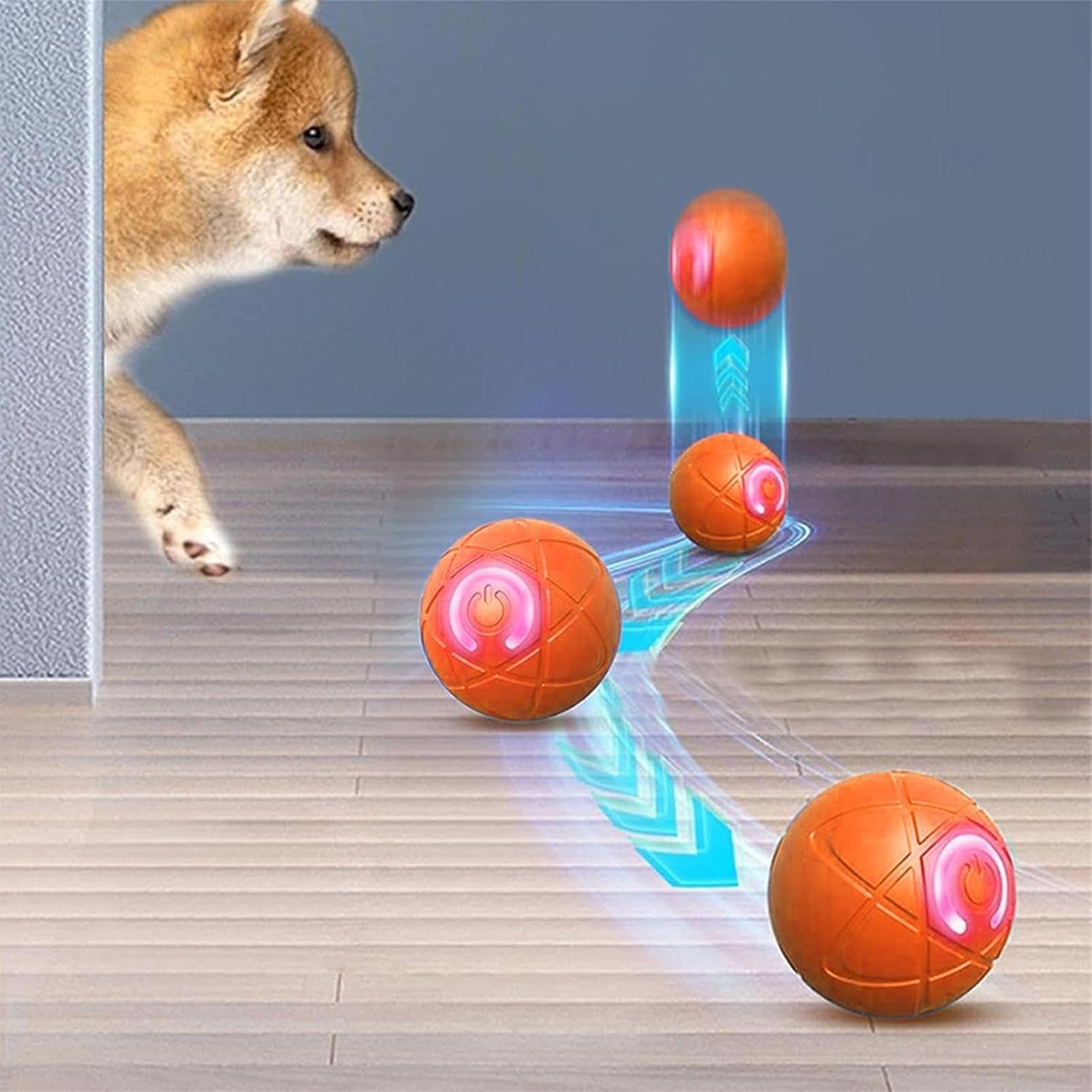 Agresif Çiğneyiciler İçin Akıl - Automatic Moving Dog Ball incelemesi ve fiyatı