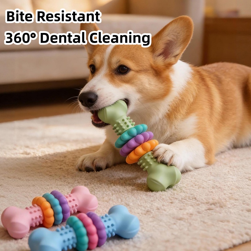 Dayanıklı TPR Köpek Çiğneme Oy - Teeth Cleaning Dog Chew Bone incelemesi ve fiyatı