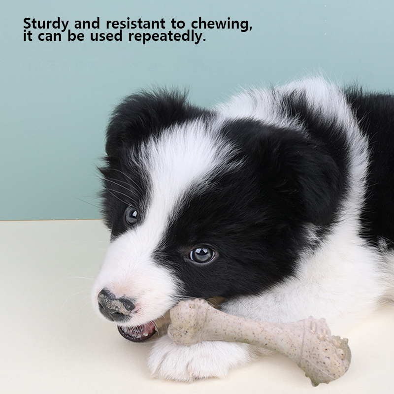 12 cm Evcil Hayvan Oyuncakları - Teeth Cleaning Dog Chew Bone incelemesi ve fiyatı