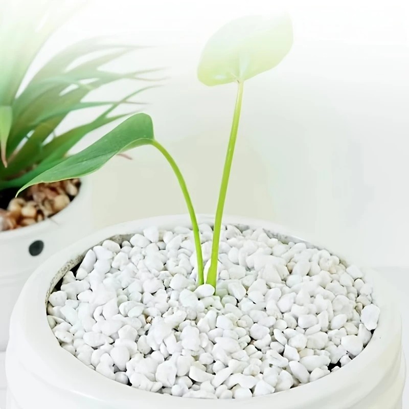 1L yüksek kaliteli perlit etli - Pet Beds incelemesi ve fiyatı