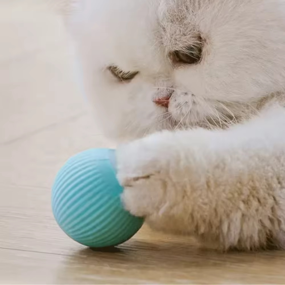 Köpek ve Kedi için Otomatik Ha - Automatic Moving Dog Ball incelemesi ve fiyatı