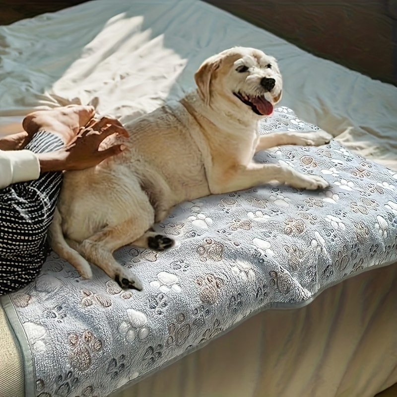 Rahat Evcil Hayvan Havlusu Yum - Pet Beds incelemesi ve fiyatı