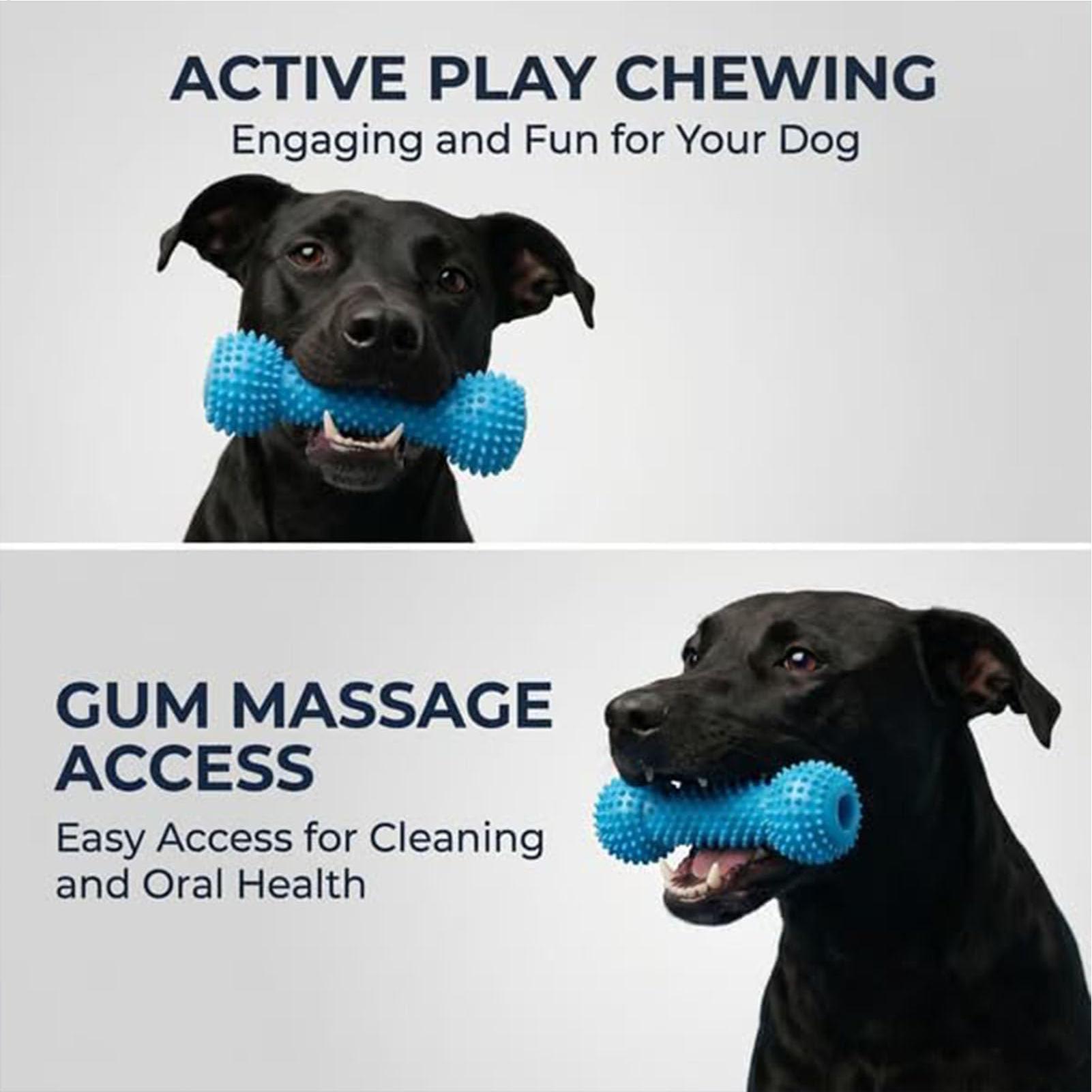 Köpekler İçin Diş Fırçalama Oy - Rubber Treat Dispensing Dog Toy incelemesi ve fiyatı