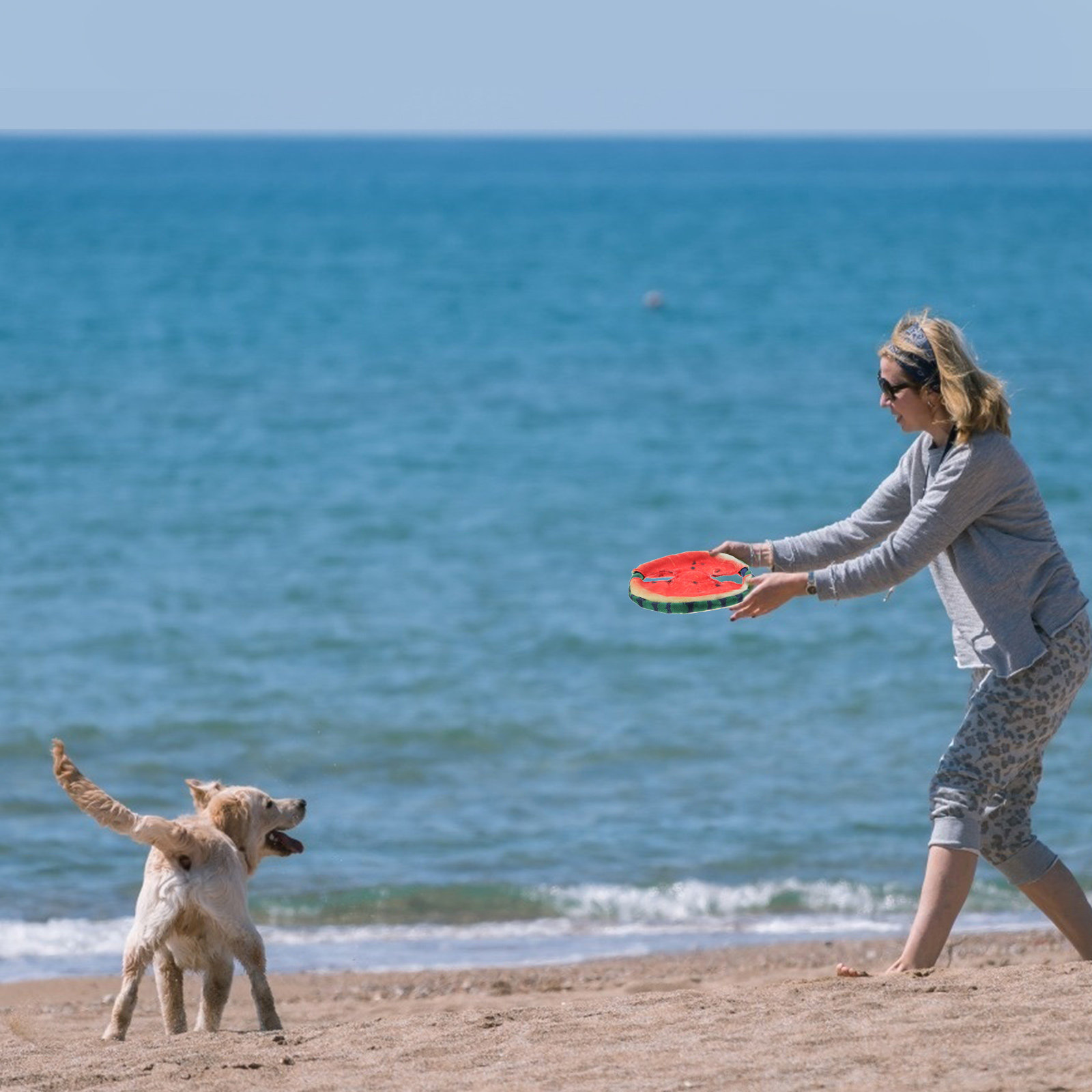 Köpekler İçin Uçan Disk Şeklin - Flying Disc Dog Training Toy incelemesi ve fiyatı