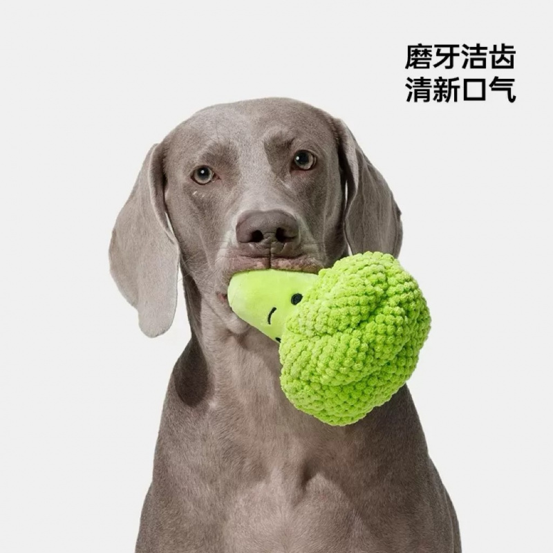Diş gıcırdatma ve temizleme iç - Interactive Squeaky Plush Dog Toy incelemesi ve fiyatı
