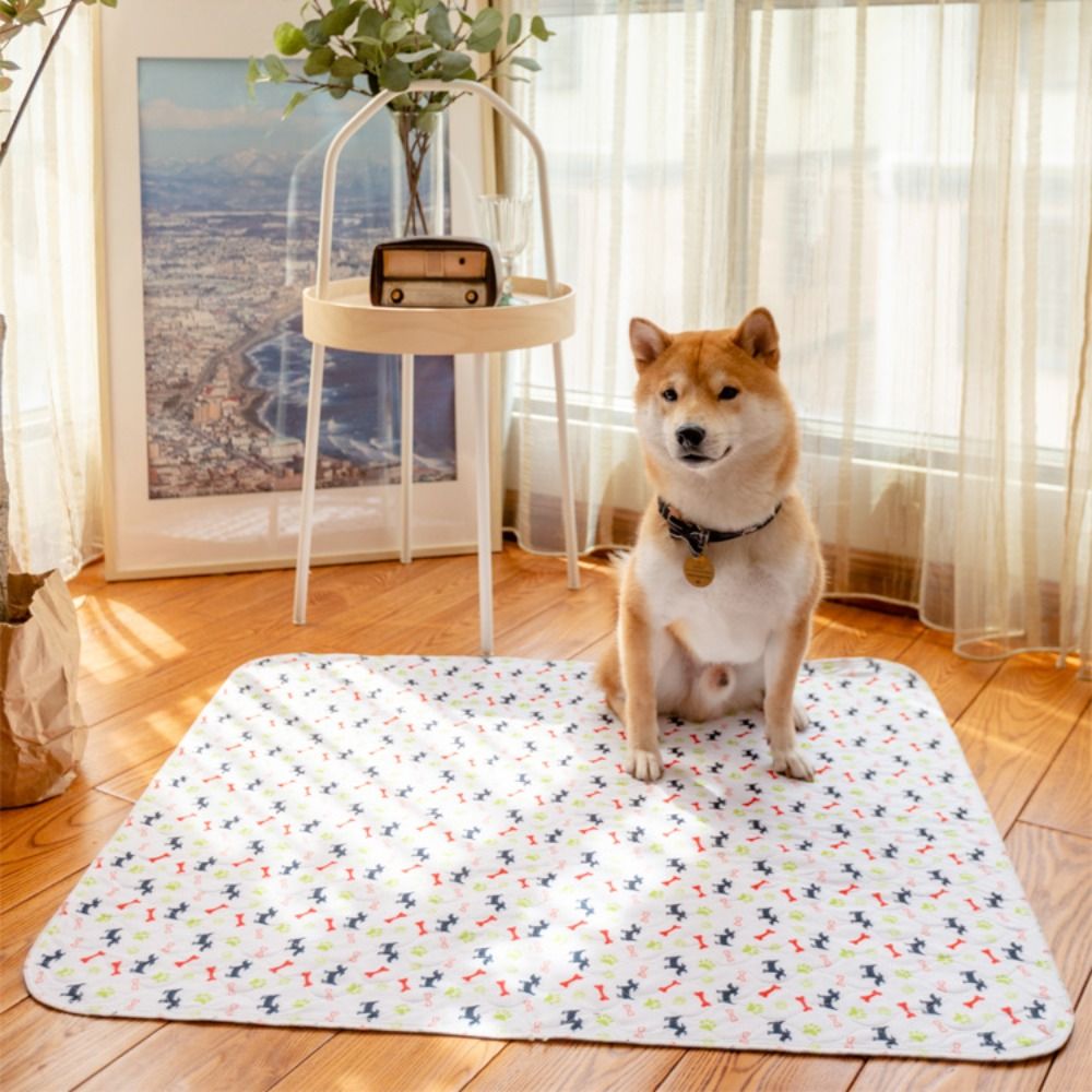 Dayanıklı, Süper Emici, Yıkana - Pet Beds incelemesi ve fiyatı