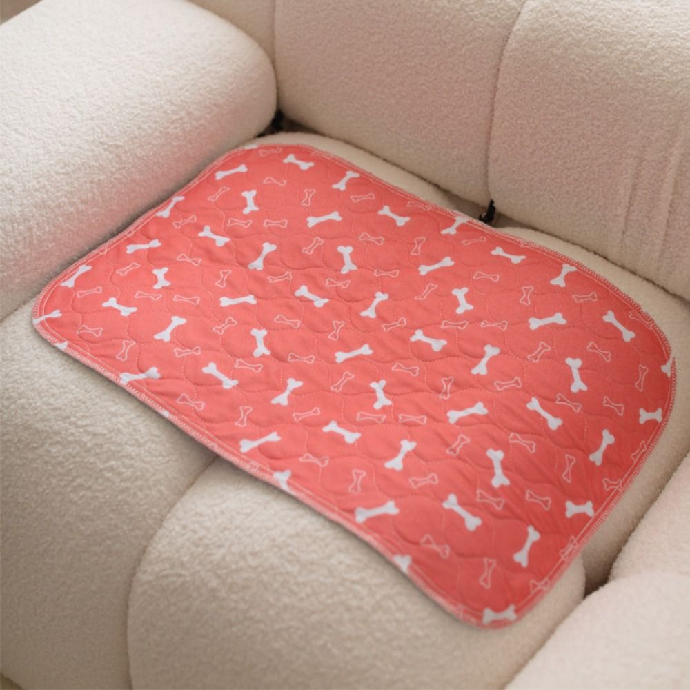 Dayanıklı, Süper Emici, Yıkana - Pet Beds incelemesi ve fiyatı