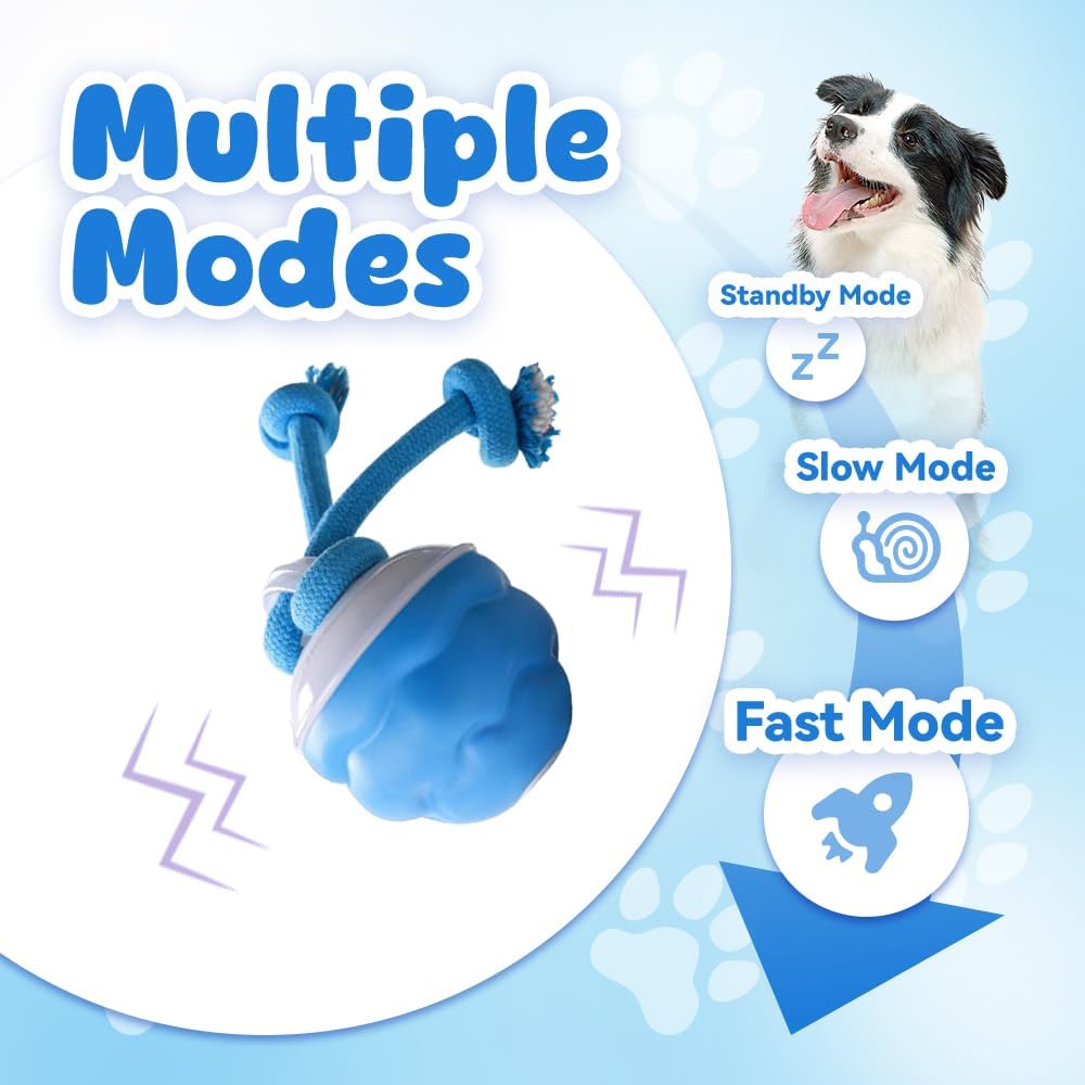 Akıllı Köpek Oyuncağı, Otomati - Automatic Moving Dog Ball incelemesi ve fiyatı