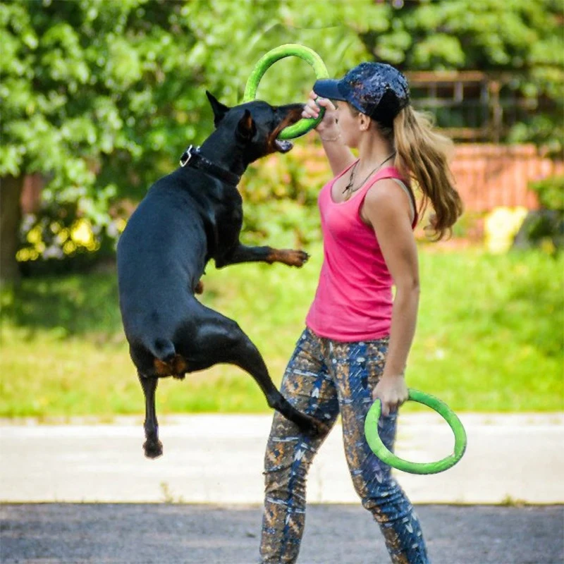 Köpek oyuncaklar Pet uçan disk - Indestructible Dog Chew Toy incelemesi ve fiyatı