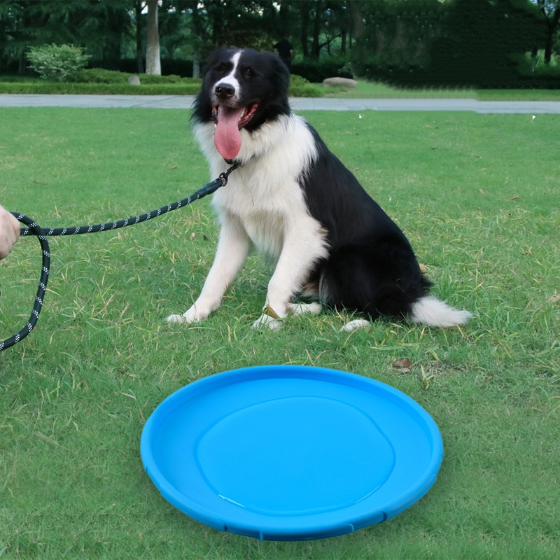 Köpekler ve Kediler için İnter - Indestructible Dog Chew Toy incelemesi ve fiyatı