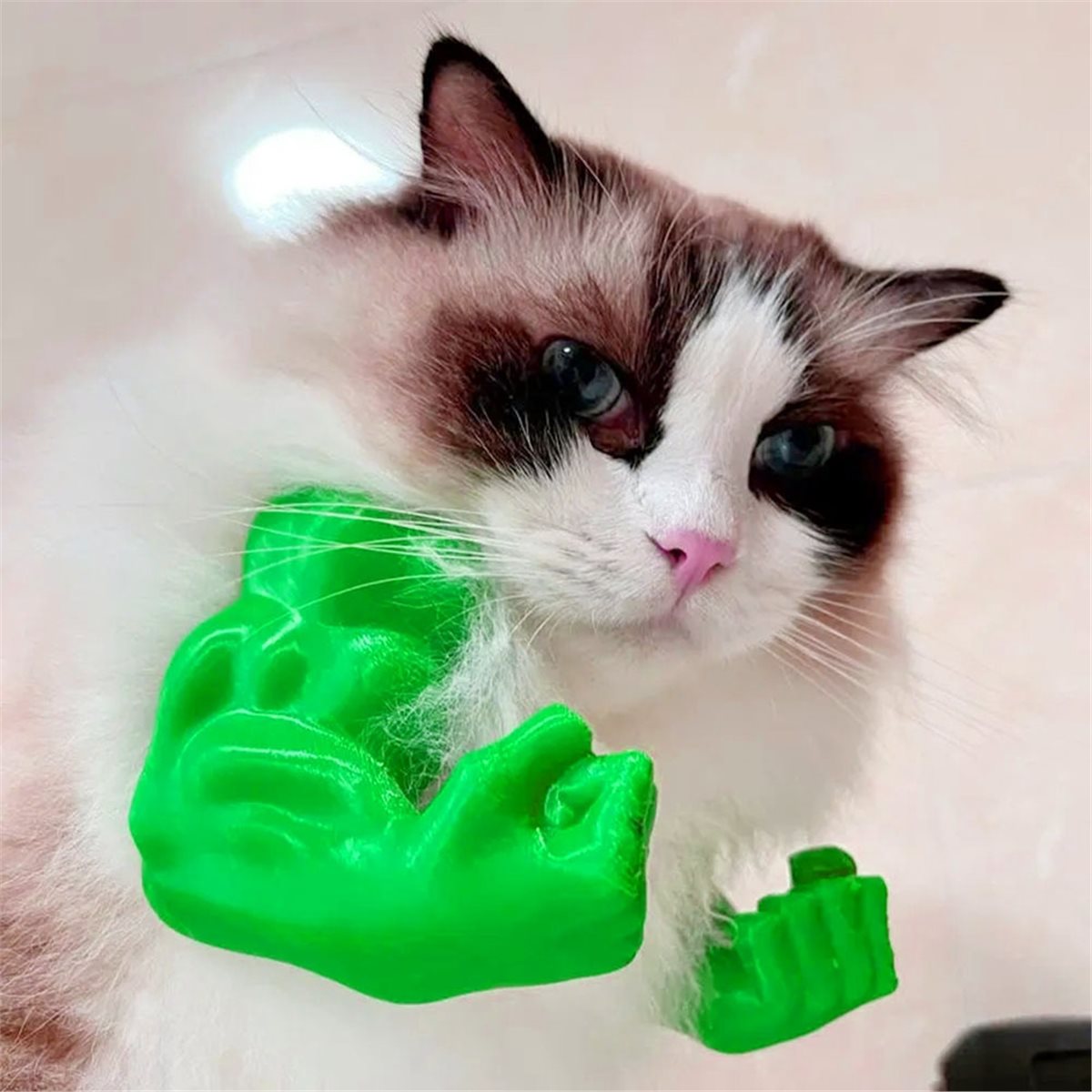 NEWCat Kaslı Kedi Kolyesi, Ked - Cat Toys incelemesi ve fiyatı
