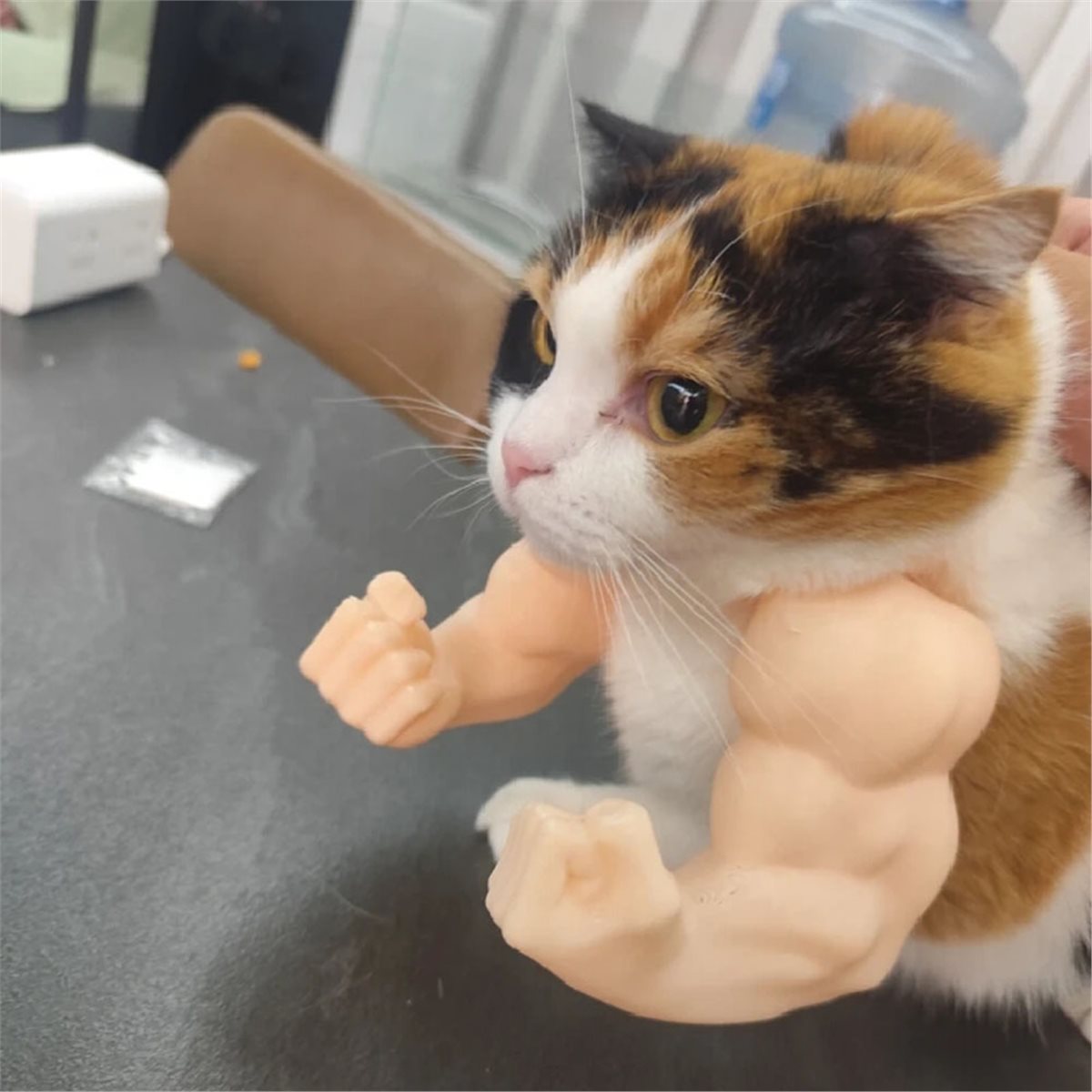 NEWCat Kaslı Kedi Kolyesi, Ked - Cat Toys incelemesi ve fiyatı