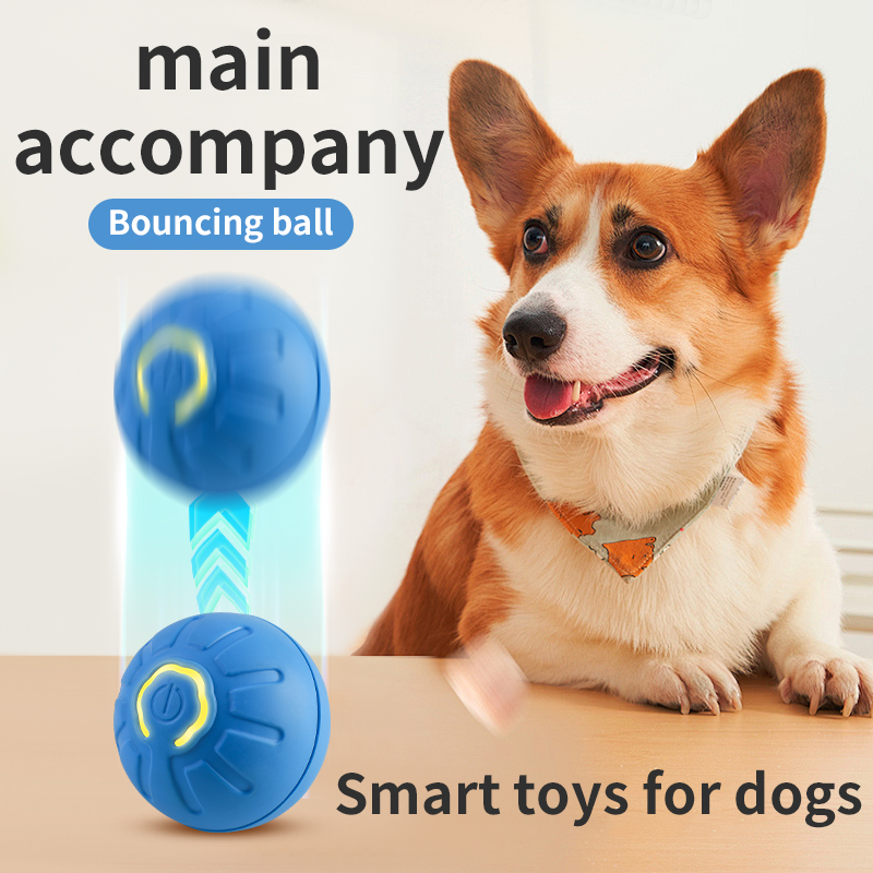 Otomatik Hareket Eden Köpek Oy - Automatic Moving Dog Ball incelemesi ve fiyatı